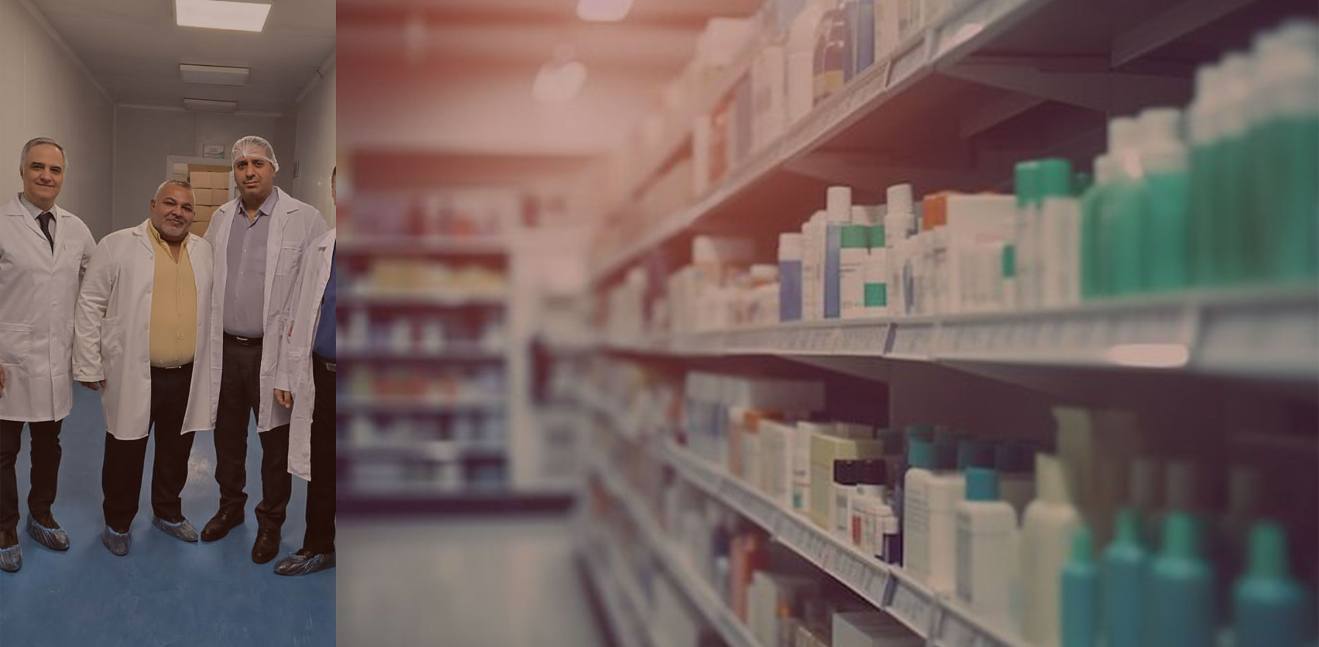 Visit to the pharmaceutical factory